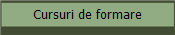 Cursuri de formare